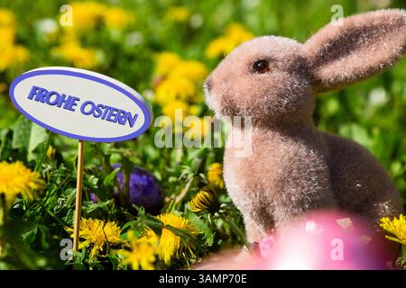 Frohe Ostern: Osterhase auf einer Blumenwiese neben einem Schild mit hinzugefügtem Text FROHE OSTERN *** Happy Easter Easter bunny on a flower meadow next to a sign with added text HAPPY EASTERS Copyright: xUdoxHerrmannx Stock Photo