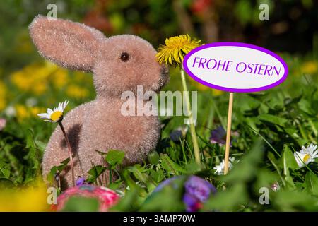 Frohe Ostern: Osterhase auf einer Blumenwiese neben einem Schild mit hinzugefügtem Text FROHE OSTERN *** Happy Easter Easter bunny on a flower meadow next to a sign with added text HAPPY EASTERS Copyright: xUdoxHerrmannx Stock Photo