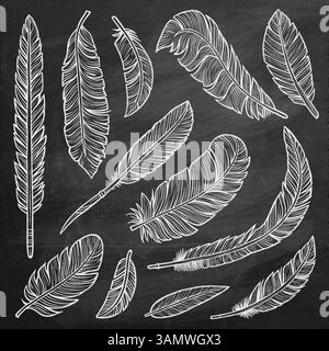 Set of hand-drawn black and white feathers with intricate details on chalkboard background. Perfect for tattoo, boho, vintage, and decorative designs Stock Vector