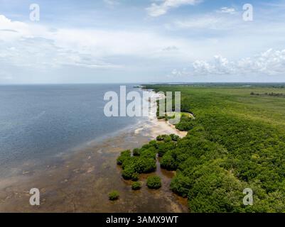 Aerial view of Matheson Hammocks Park with palm trees and urban skyline