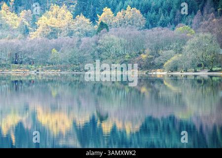 Reflections of autumnal forests on the bank, in the tranquil waters of Loch Goilhead. Stock Photo