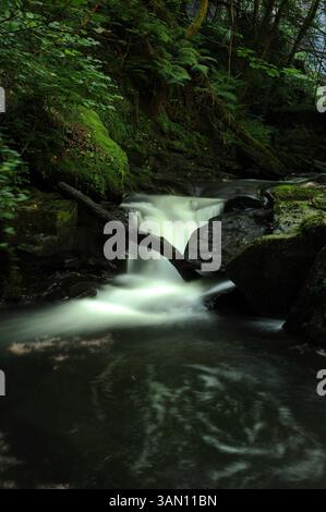 Melincourt Brook just below Melincourt Falls. Stock Photo