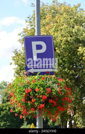 Decorative traffic sign parking and arrow turning left in blue background above red blooming flowers bouquet in sunny summer day Stock Photo