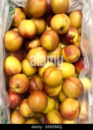 Top view of ripe nectarines with smooth skin and vibrant color, ready for consumption at fruit market, apricots, consumerism, shopping Stock Photo