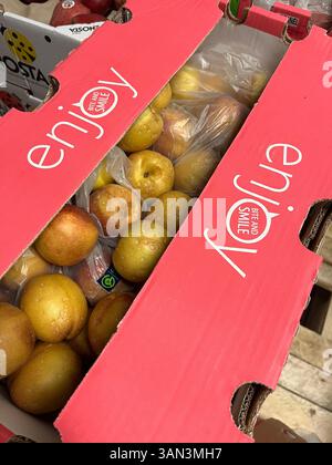 Fresh ripe nectarines in pink cardboard crate labeled "Enjoy", ready for distribution, wholesale, fruit market, distribution, food supply, pink crate Stock Photo
