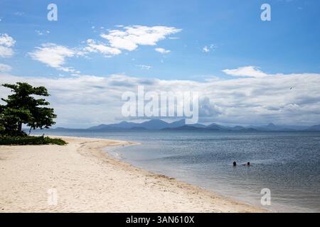 Landscape of a beach with only two people in the water, you can only see their heads from afar, with a tree on the left side, below the sand and the s Stock Photo