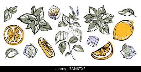 Refreshing summer clipart set with mint leaves, citrus slices, and ice cubes Stock Vector