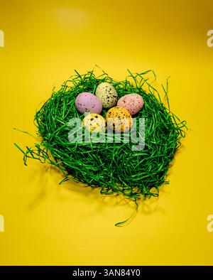 Colorful eggs nestled in a vibrant green nest on a bright yellow background Stock Photo