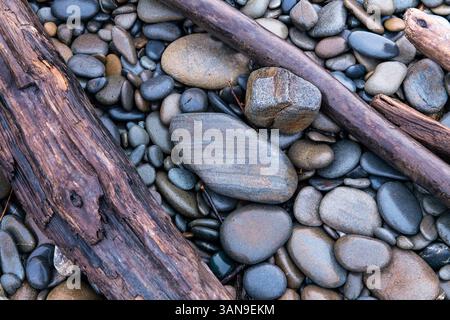 A large piece of driftwood is laying on a rocky beach. The driftwood is surrounded by a variety of small rocks, some of which are scattered around it Stock Photo
