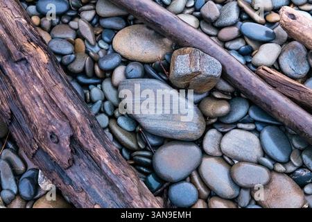 A large piece of driftwood is laying on a rocky beach. The driftwood is surrounded by a variety of small rocks, some of which are scattered around it Stock Photo