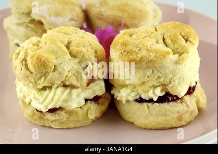 Fresh baked homemade scones with jam and cream on a plate Stock Photo