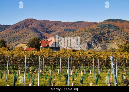 Wachau Valley, Austria - October 24, 2021: Building and vineyard in the Wachau Valley in Lower Austria on a sunny autumn day. Stock Photo