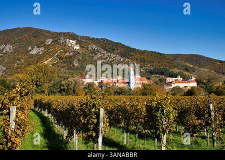 Wachau Valley, Austria - October 24, 2021: Weissenkirchen and Durnstein Castle behind a vineyard in the Wachau Valley of Austria on a sunny autumn day Stock Photo