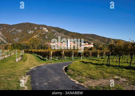 Wachau Valley, Austria - October 24, 2021: Walking path through a vineyard with Weissenkirchen and Durnstein Castle in the background  in the Wachau V Stock Photo