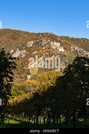Wachau Valley, Austria - October 24, 2021: Durnstein Castle on a hill above a vineyard in the Wachau Valley of Austria on a sunny autumn day. Stock Photo
