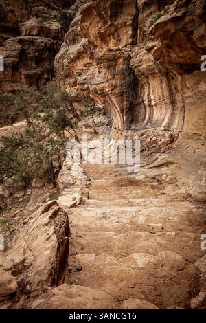 Petra little petra siq al barid sandstone canyon walls showing colorful layers Stock Photo