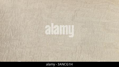 maple frise Light brown textured background Stock Photo