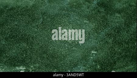 Green textured background showing tiny bumps creating a concentric pattern Stock Photo