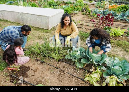 Indian family picking up organic vegetables from house garden outdoor ...