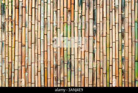 Bamboo texture old fence background . High quality photo Stock Photo