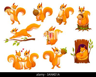 Cartoon squirrel animal characters set. Cute forest animal vector personages with nuts, mushroom, pine cone and acorns in basket. Cartoon red squirrels running on tree branch and sleeping in hollow Stock Vector