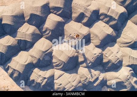 Aerial view of a man walking on sand, Lihula Parish, Pärnu County, Estonia Stock Photo