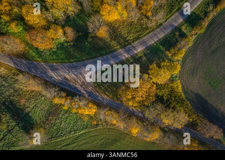 Aerial view of a crossroad passing between forest during sunset, Estonia. Stock Photo