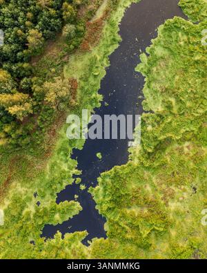 Aerial view of a serene lake with lush green islands and distant hills ...