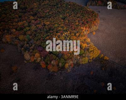 Aerial view of colorful autumn foliage over a tranquil forest, Needham, United States. Stock Photo