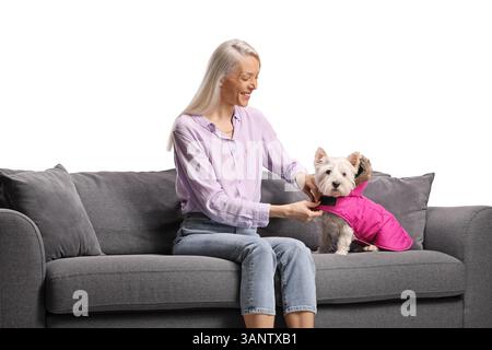 Woman sitting on a sofa and putting a coat on a westie terrier dog isolated on white background Stock Photo
