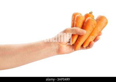 carrots in hand path isolated on white Stock Photo