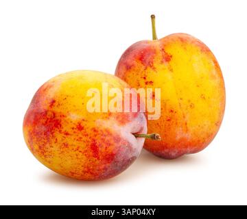 plum path isolated on white Stock Photo