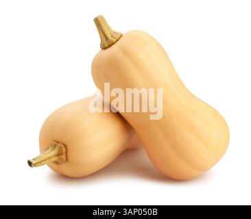 butternut path isolated on white Stock Photo