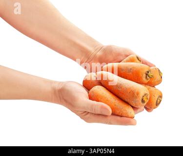 carrots in hand path isolated on white Stock Photo