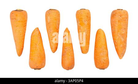 carrots path isolated on white Stock Photo