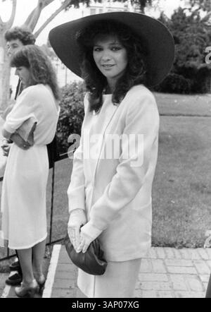 Alex van halen Black and White Stock Photos & Images - Alamy