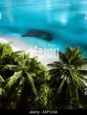 Aerial view of tropical beach with palm trees and hammock by the clear turquoise ocean, Alif Alif Atoll, Maldives. Stock Photo