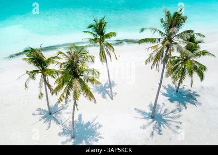 Aerial view of a group of palm trees with a hammock at the beach front, Maldives, Laccadive Sea. Stock Photo