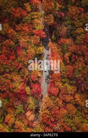 Aerial view of a few vehicles driving on the road through the forest in Vladivostok, Russia. Stock Photo