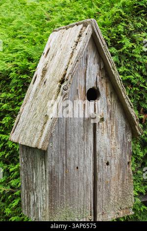 Rustic grey weathered wooden birdhouse on a stand in backyard country garden in summer. Stock Photo