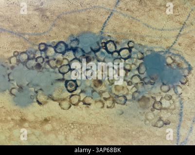 Aerial view of intricate patterns and shapes in blue hues and beige tones of Salinas de Cerrillos, El Ejido, Almeria, Spain. Stock Photo