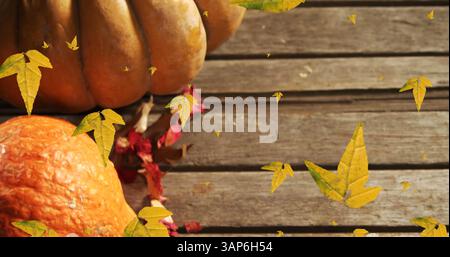 Image of orange autumn leaves falling over pumpkins Stock Photo