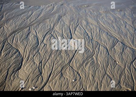 Sand beach resembling a tiny river delta system on a beach with mussel shells Stock Photo