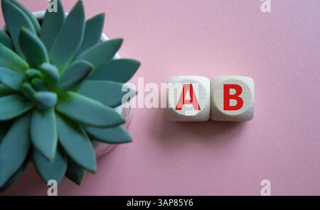 Plan A and Plan B. Plan A and Plan B on wooden cubes. Beautiful pink background with succulent plant. Business concept. Copy space. Stock Photo