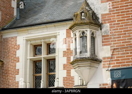 Detail of an echauguette on the facade of the Clos Luce castle Stock Photo