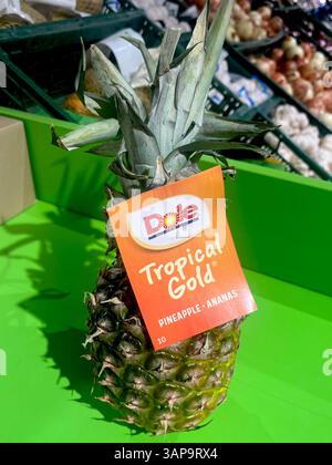 Dole Tropical Gold pineapple with branded label, ripe pineapple, ananas, supermarket, shopping, consumerism, fruits aisle, grocery store display Stock Photo