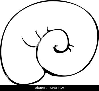 Simple spiral seashells in a simple style. Graphic line art hand drawn on the theme of sea and fishing in black and white ink. Separate element Stock Vector