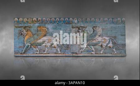 Coloured glazed terracotta tiled panels depicting mythical Griffins. From the reign of Darius 1st and the First Persian or Achaemenid Empire around 51 Stock Photo