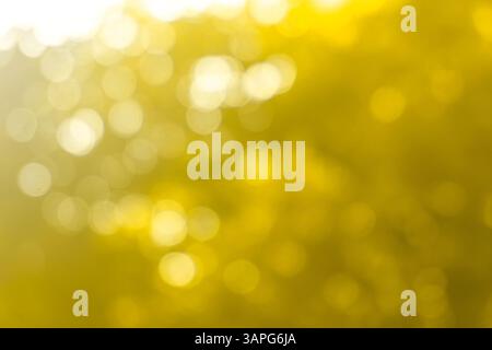 abstract green golden bokeh background Stock Photo