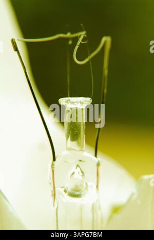 Broken lightbulb Stock Photo